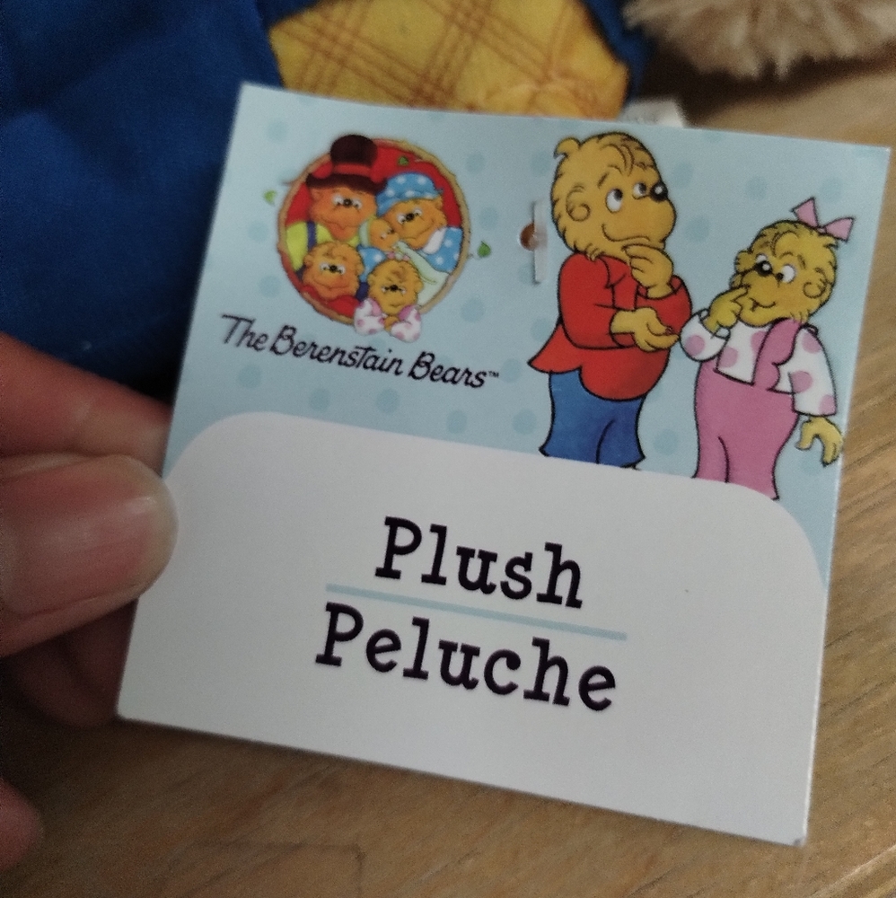 ÷PBS Kids The Berenstain Bears Teddy Bear 9in Stuffed Plush - New - Papa Bear - Picture 8 of 16